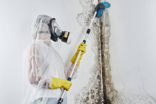 Best Industrial Mold Remediation in Plymouth, WI