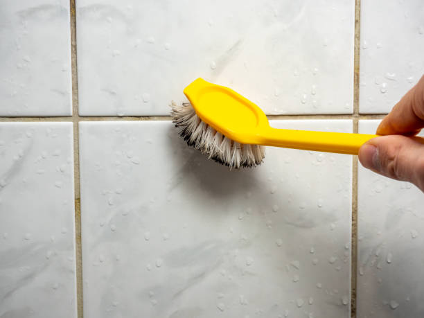 Best Mold Remediation for Schools in Plymouth, WI