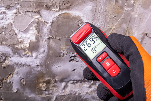 Best Kitchen Mold Remediation in Plymouth, WI